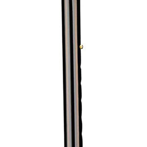 SugarCane