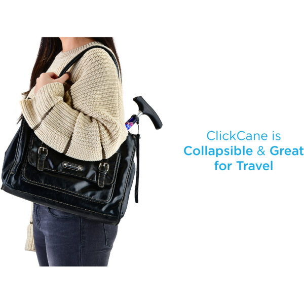 Travel Cane